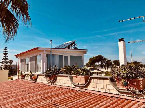 a house on top of a roof with potted plants at Eleutheria beach villa by the beach in Torre Chianca