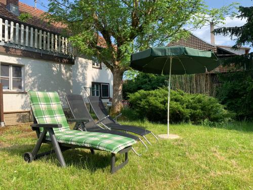 uma cadeira verde e um guarda-chuva na relva em Wohnung mit Garten, Grill und Thermomix em Ühlingen-Birkendorf
