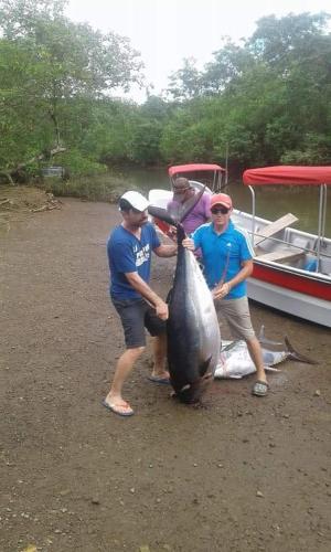 a group of three men holding a large fish at Ecohotel Bahía Terco in Nuquí