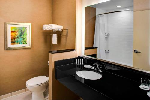 a bathroom with a sink and a toilet and a mirror at Fairfield Inn & Suites by Marriott Douglas in Douglas