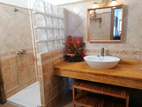 een badkamer met een wastafel en een douche bij Casa Amagante, en Hoyo de Mazo in Mazo