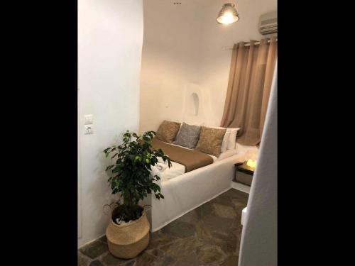 Gallery image of Amarielia's Studios in Tinos Town