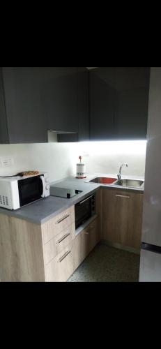 Appartamento Verde في أوديني: مطبخ مع ميكروويف ومغسلة