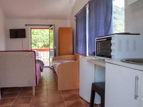 Kuchyň nebo kuchyňský kout v ubytování Family Apartments Vukcevic