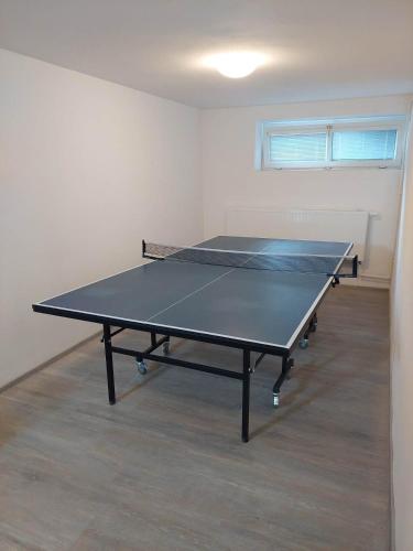 a ping pong table in a room with a ping pong ball at Penzion Strachotín in Strachotín