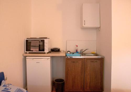 a small kitchen with a microwave and a sink at Family Apartments Vukcevic in Čanj