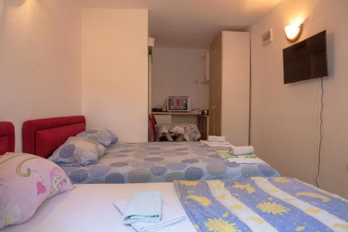 a small bedroom with two beds and a television at Family Apartments Vukcevic in Čanj