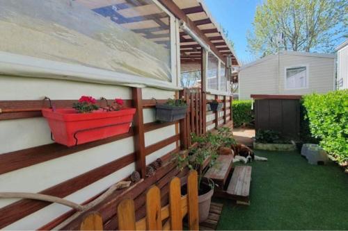 une cour arrière avec un patio avec des plantes en pot dans l'établissement Mobil-Home MA 20 à Vias - La Carabasse - Camping Siblu avec piscine, à Vias