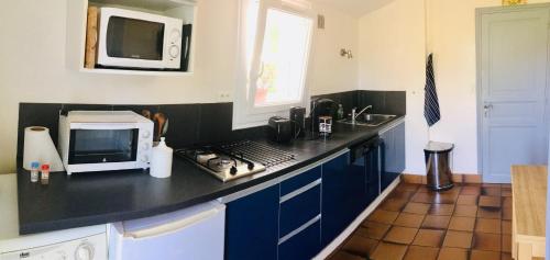 cocina con encimera negra y microondas en Le refuge des canards, en Saint-Aubin-le-Cloud