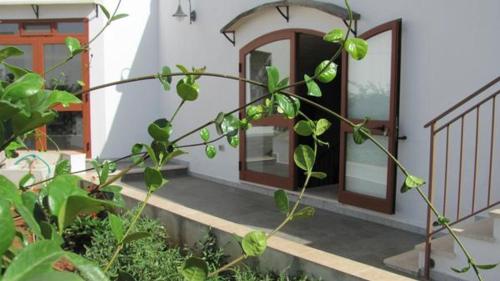Zahrada ubytování B&B Camera A Sud Tuglie Gallipoli