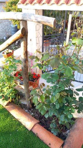 a garden with a wooden cross and some plants at B&b Diamante and home restaurant in Trentinara