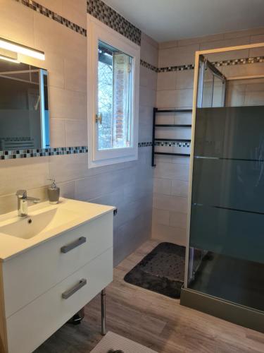 La salle de bains est pourvue d'un lavabo et d'une douche. dans l'établissement Villa Bella à 300 m du Parc Fenestre, à La Bourboule