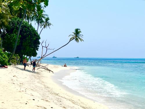 a beach with palm trees and people walking on the beach at Si! Coral Inn in Thulusdhoo