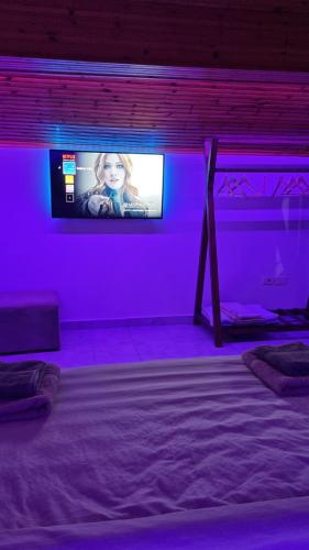 Kallmet Villaにあるテレビまたはエンターテインメントセンター