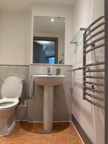 a bathroom with a sink and a toilet and a mirror at Queenstown road in London