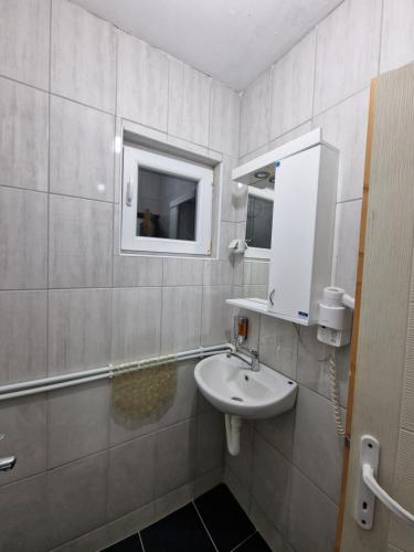 een badkamer met een wastafel en een spiegel bij Vila Vlasina in Vlasina Rid