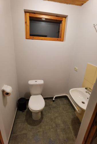 a bathroom with a toilet and a sink at Kemeri Roomstay & Sauna in Jūrmala