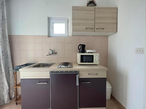 een kleine keuken met een wastafel en een magnetron bij Apartment Lira 2 in Mlini