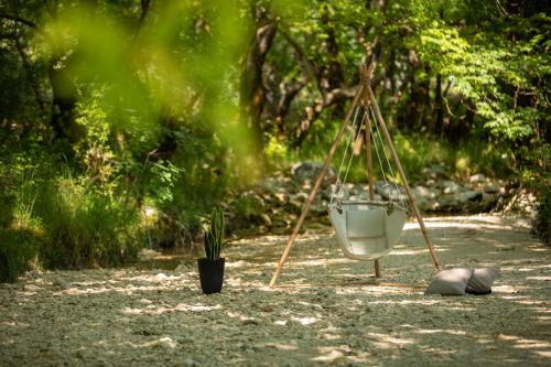 Κήπος έξω από το White River Villa