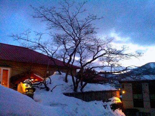 Το The Otaornai Backpacker's Hostel Morinoki τον χειμώνα