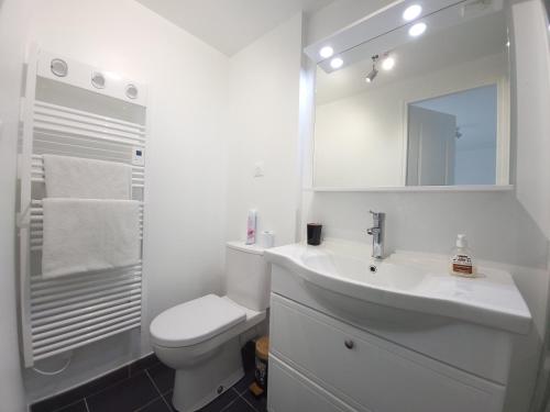 La salle de bains blanche est pourvue de toilettes et d'un lavabo. dans l'établissement Studio cosy proche Paris Orly, à Morangis