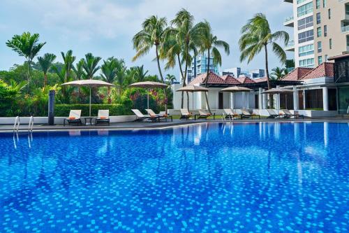 a large swimming pool with chairs and palm trees at Sheraton Towers Singapore Hotel in Singapore