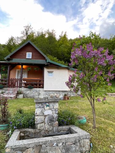 une maison avec un arbre et des fleurs violettes devant elle dans l'établissement Holiday House Tara, à Kolašin