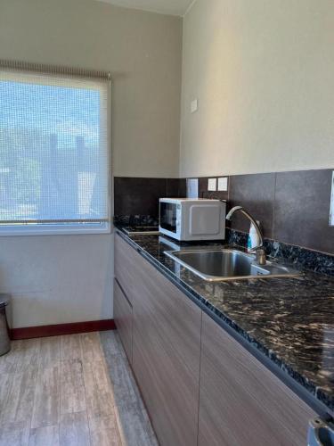 a kitchen with a sink and a microwave at Tandil del Lago in Tandil
