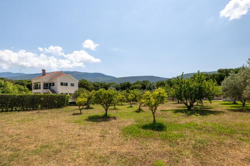 a field of trees with a house in the background at Arte villa Margarita apartment in Sami