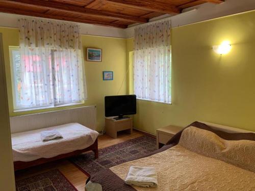 ブシュテニにあるConstantinescu Aのベッド2台、テレビ、窓2つが備わる客室です。