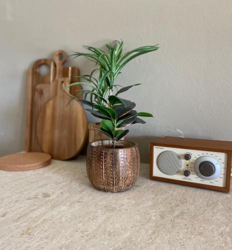 a plant in a vase sitting next to a speaker at Baia Dorata beach apartments in Porto Istana