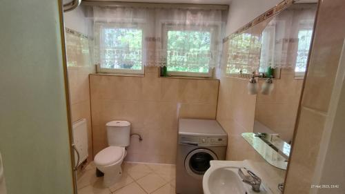 a bathroom with a toilet sink and a washing machine at Tanie Noclegi Krysia Falsztyn in Falsztyn