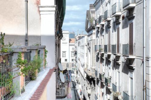 Royal Caracciolo Historic Palace Apartment - Via dei Tribunali
