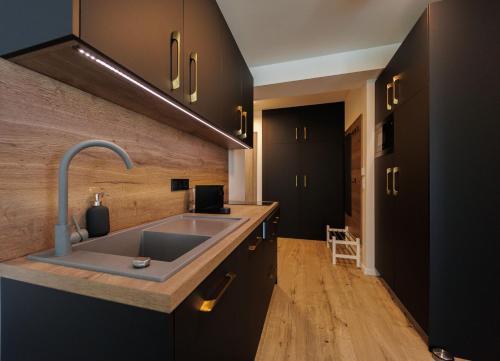 Villa Bauhaus Gold في سيوفوك: مطبخ مع حوض ودواليب سوداء
