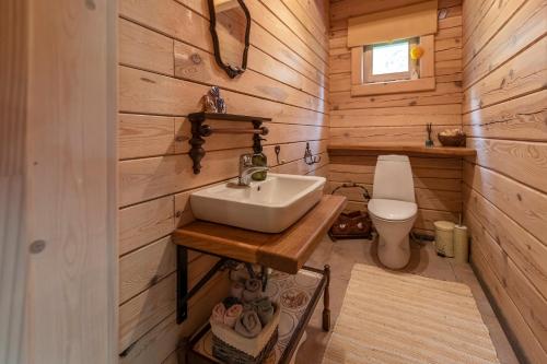 a bathroom with a sink and a toilet at Vila Shakti in Rudžionys