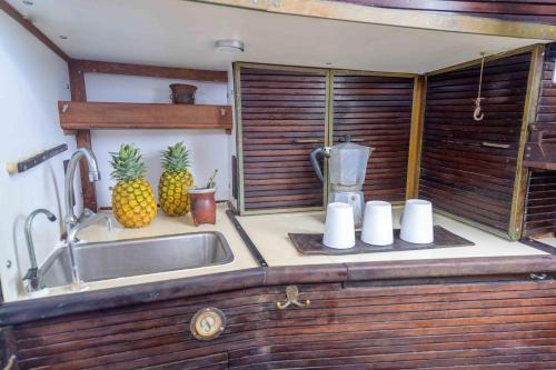 eine Küchentheke mit Spüle und 2 Ananas in der Unterkunft San Blas Sailing Experience With Us! in El Porvenir