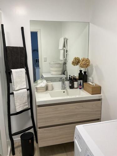 a bathroom with a sink and a mirror at Garden Apartment in Matakana