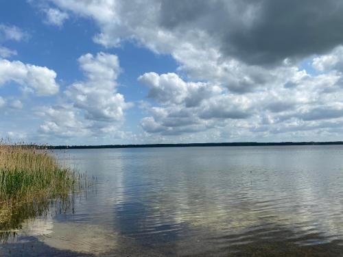 a large body of water under a cloudy sky at Haus am Grimnitzsee mit Garten in Joachimsthal