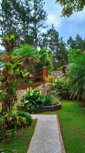 a garden with a walkway and many plants at Villa La Vista of Panama City and magestical mountains from infinity pool in Cerro Azul