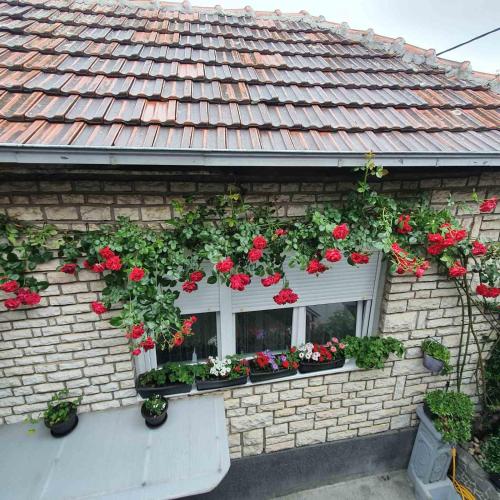 a window with red geraniums on a brick house at Fortress apartments Niš in Niš