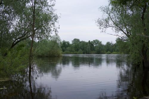 a view of a large river with trees on the side at Dacha 9 in Voropayev