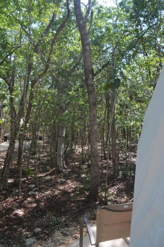 a view from inside a tent in a wooded area at Glamping Mayan Glam in Tulum