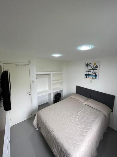 a bedroom with a bed and a tv in it at Apartamento na Praia de Guaibim in Guaibim