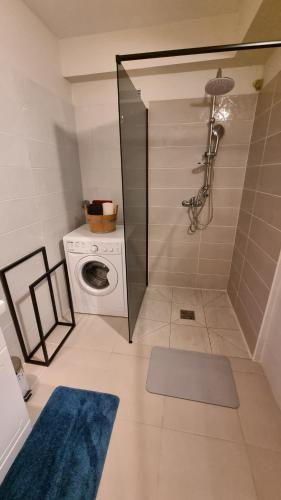 a bathroom with a washing machine and a washer at La Visite Tropicale in Rivière-Pilote