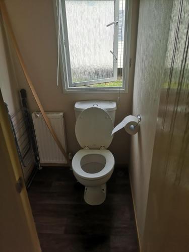 a small bathroom with a toilet with a window at The Powers in Rhyl