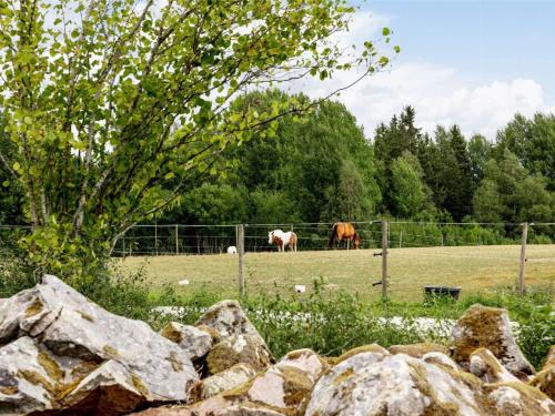 two horses grazing in a field behind a fence at 6 person holiday home in TINGSRYD-By Traum in Tingsryd