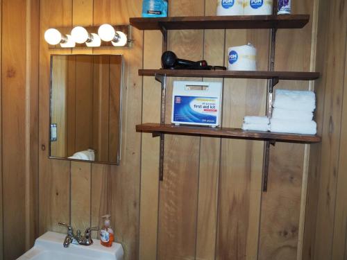 ein Badezimmer mit Holzwänden und Regalen über einem Waschbecken in der Unterkunft Sleeping Bear Riverside Cabins - Cabin #4 in Honor