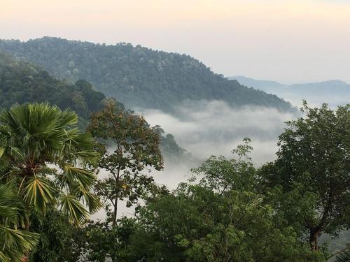 a misty valley in the middle of a mountain with trees at SANKARA GARDEN in Pantai