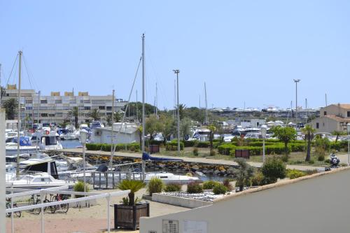 Studio Naturiste ALBATROS Port Soleil 544 photo 10