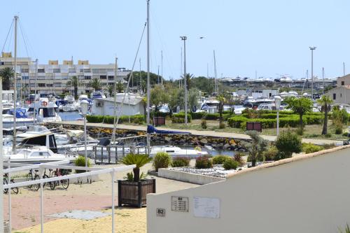 Studio Naturiste ALBATROS Port Soleil 544 photo 28